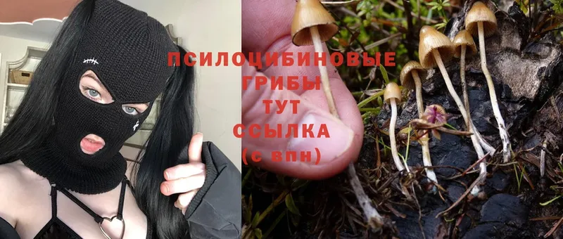 цены наркотик  Джанкой  Галлюциногенные грибы MAGIC MUSHROOMS 